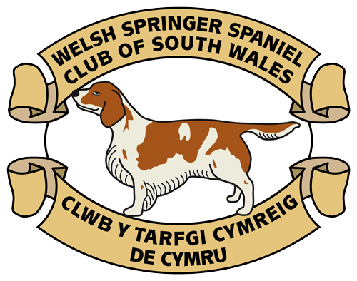 WSSCSW logo